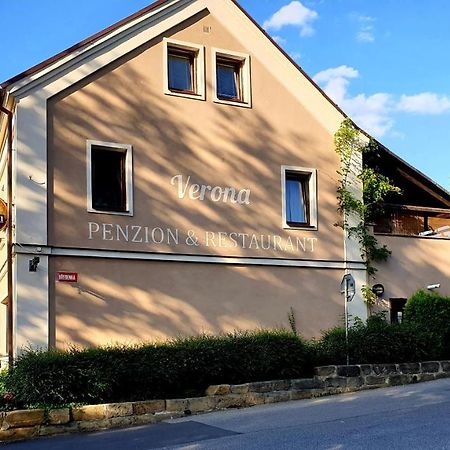 Pension Verona Novy Bor Bagian luar foto