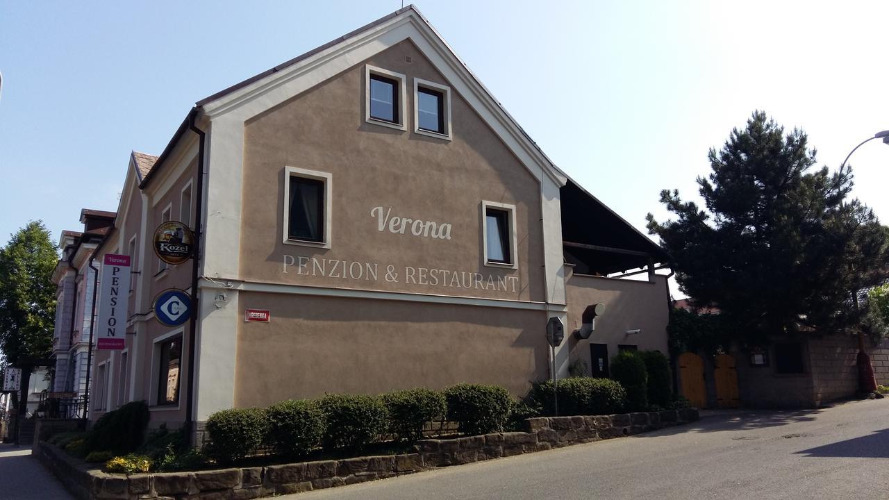 Pension Verona Novy Bor Bagian luar foto